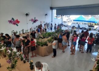 Hortolândia recebe mais uma exposição de orquídeas, neste final de semana